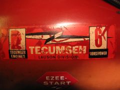 From my '63 Tecumseh H-60 tins