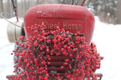 Merry Wheel Horse Christmas