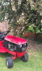 Juliette in the blossom