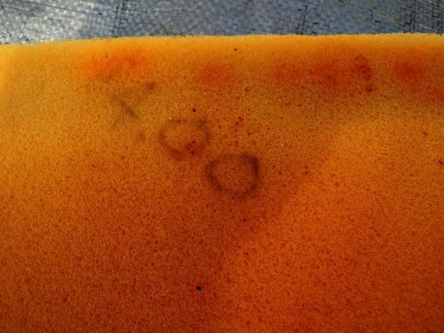 post-2221-0-82688700-1359485719_thumb.jp