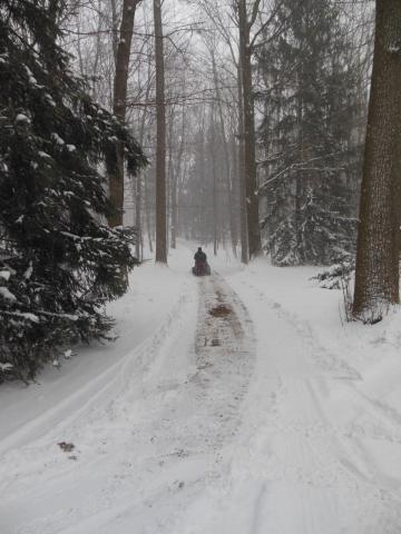 post-4240-0-31700300-1359669982_thumb.jp