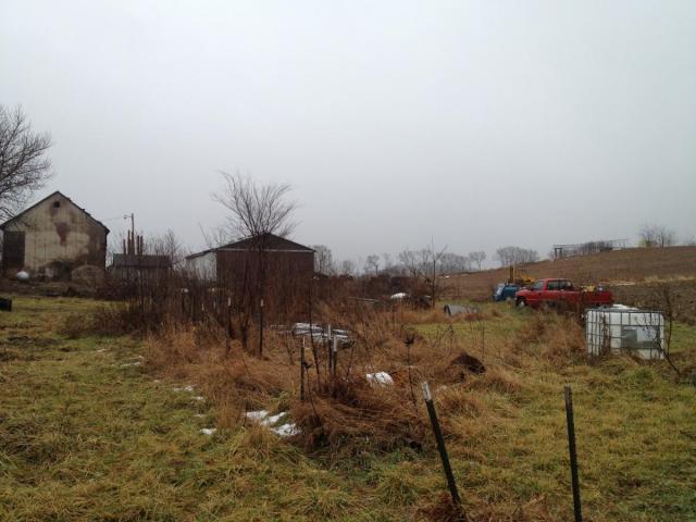 post-4321-0-08073000-1357966770_thumb.jp