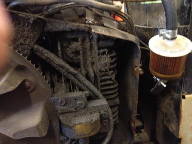 post-4321-0-59213100-1358024187_thumb.jp