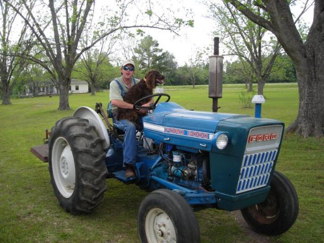 post-8412-0-41353900-1358979087_thumb.jp