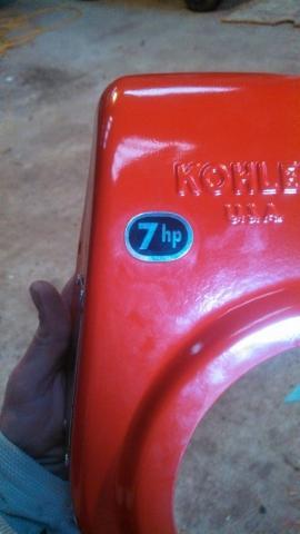 post-11334-0-42183700-1388678025_thumb.j