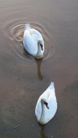 post-2119-0-18846000-1390149251_thumb.jp