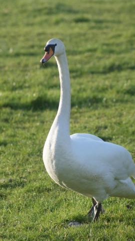 post-2119-0-26788100-1390149371_thumb.jp