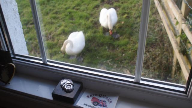 post-2119-0-40178200-1390148367_thumb.jp