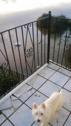 post-2119-0-42760800-1390148978_thumb.jp