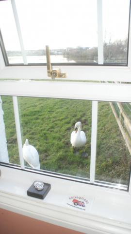 post-2119-0-75383700-1390149050_thumb.jp