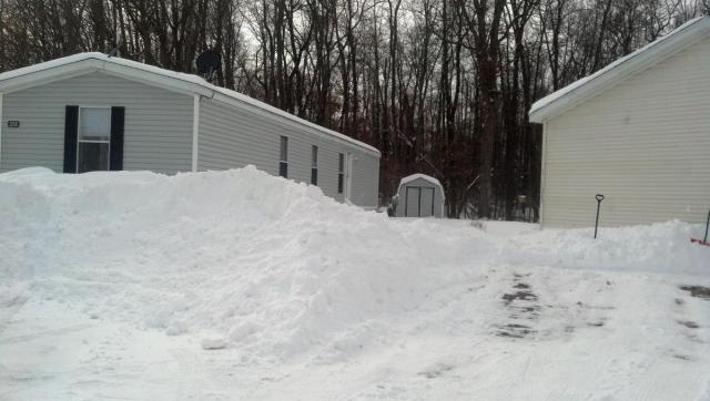 post-4531-0-80562500-1389287529_thumb.jp