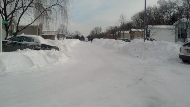 post-4531-0-85392300-1389287564_thumb.jp