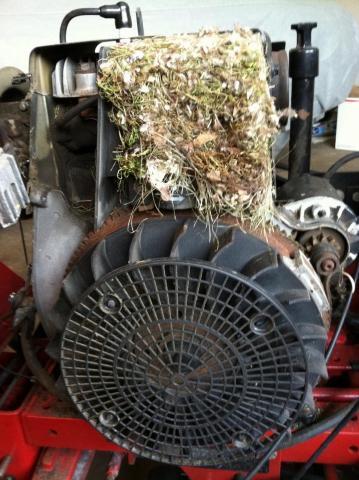 post-5094-0-55060400-1389302460_thumb.jp