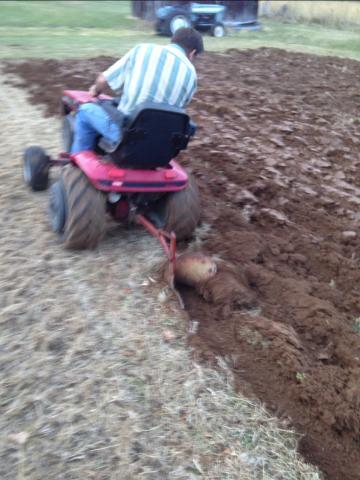 post-6085-0-02161900-1388881544_thumb.jp