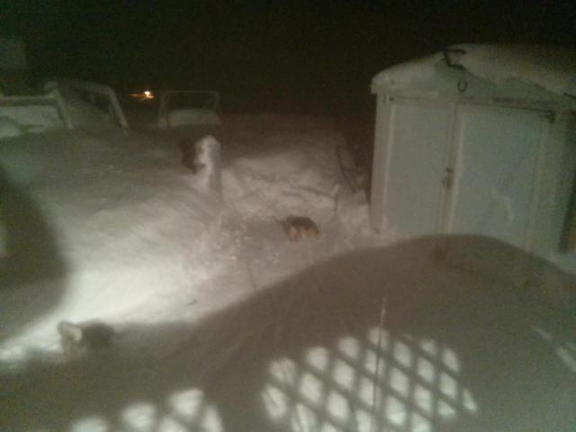 post-6649-0-32508400-1391139851_thumb.jp