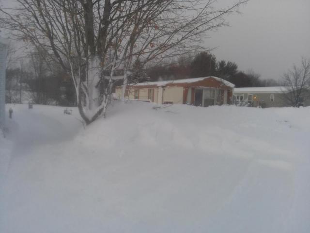 post-6649-0-62800800-1391139773_thumb.jp