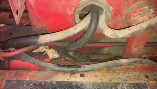 post-6955-0-02786000-1389674398_thumb.jp