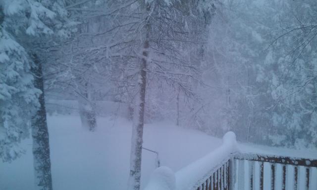 post-8224-0-00102500-1389108475_thumb.jp