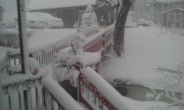 post-8224-0-09419600-1389108559_thumb.jp