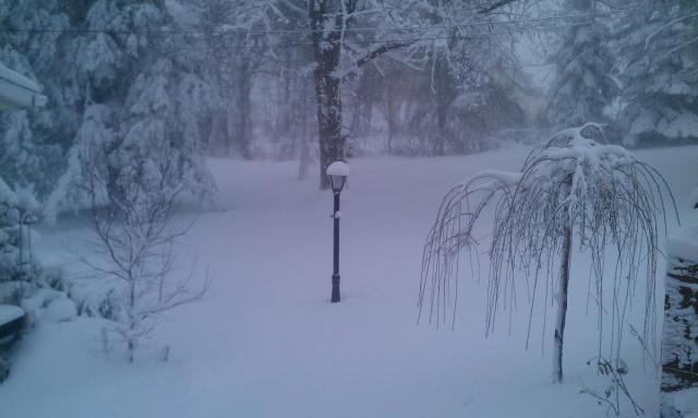 post-8224-0-17283600-1389123982_thumb.jp