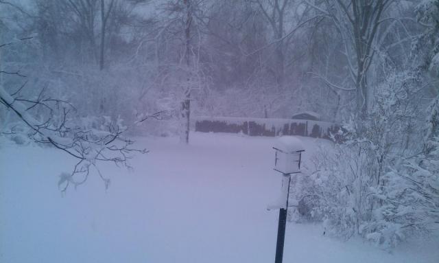 post-8224-0-41517600-1389124001_thumb.jp