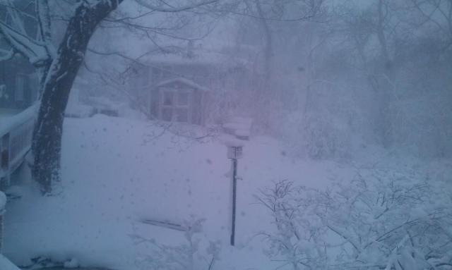 post-8224-0-49427700-1389108389_thumb.jp