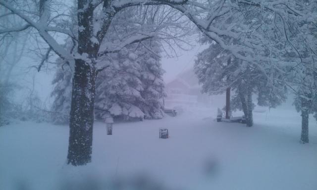 post-8224-0-58787400-1389108440_thumb.jp