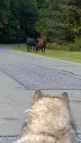 post-3066-0-47598500-1422304996_thumb.jp