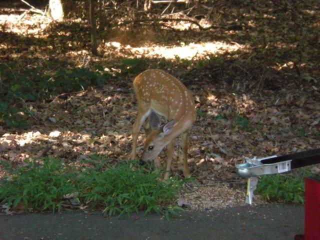 post-3066-0-66776800-1422303762_thumb.jp