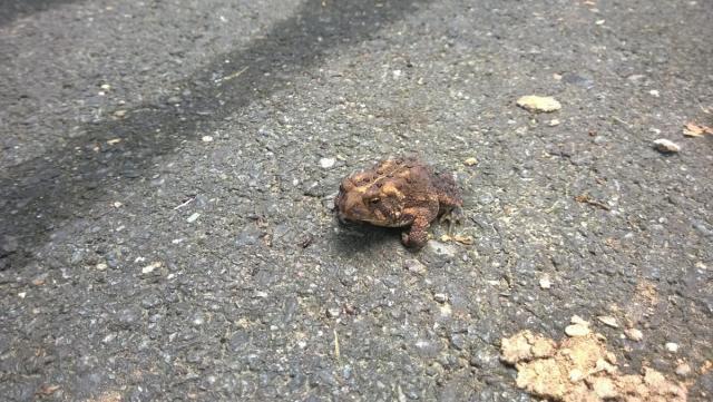 post-3066-0-68534700-1422304796_thumb.jp