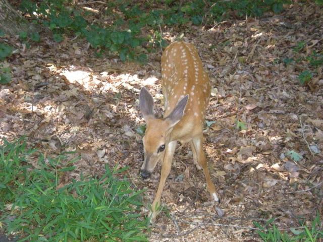 post-3066-0-72480600-1422303744_thumb.jp