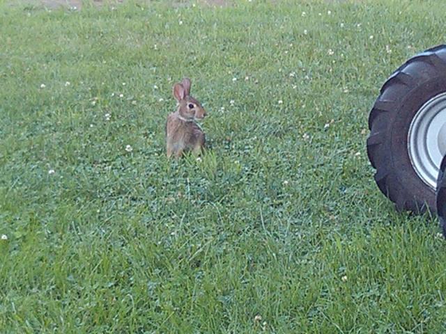 post-3498-0-13869800-1422289678_thumb.jp