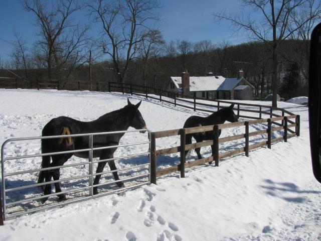 post-3498-0-38629800-1422234559_thumb.jp