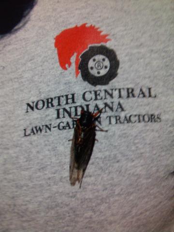 post-3498-0-62516800-1422286742_thumb.jp