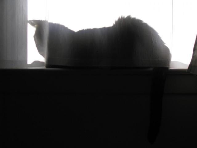 post-3498-0-64258800-1422290087_thumb.jp