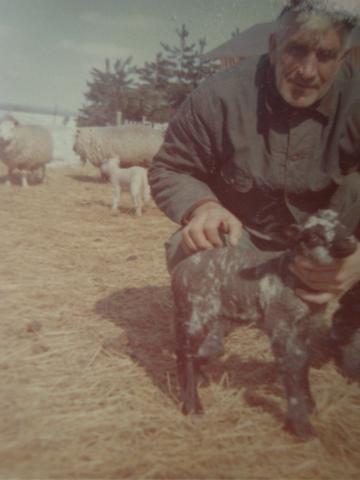 post-3498-0-34809200-1330514643_thumb.jp