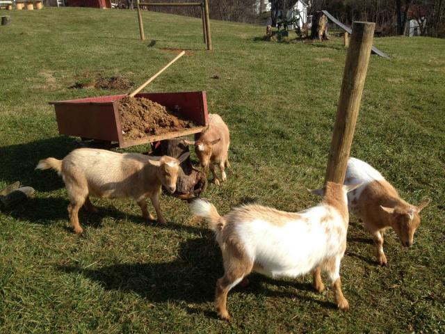 post-2413-0-84454900-1361677246_thumb.jp