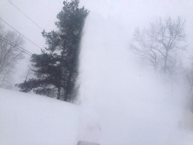 post-2536-0-54485800-1360452712_thumb.jp