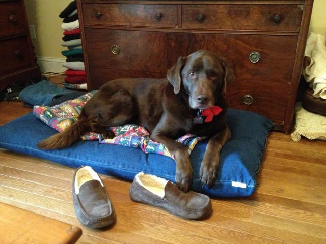 post-4321-0-04609900-1360724838_thumb.jp