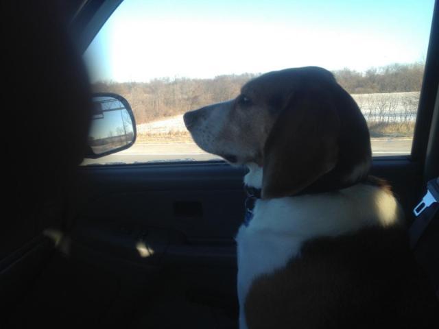 post-4321-0-40672700-1360579792_thumb.jp