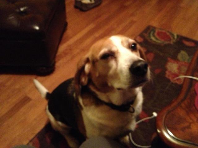 post-4321-0-65288400-1360638406_thumb.jp