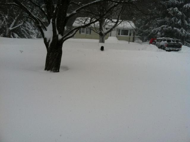 post-5815-0-31172800-1360420808_thumb.jp