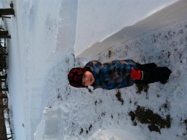 post-5815-0-41152400-1361233012_thumb.jp