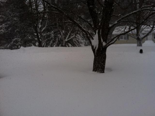 post-5815-0-50339100-1360420793_thumb.jp