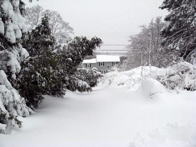 post-5872-0-61936200-1360460337_thumb.jp