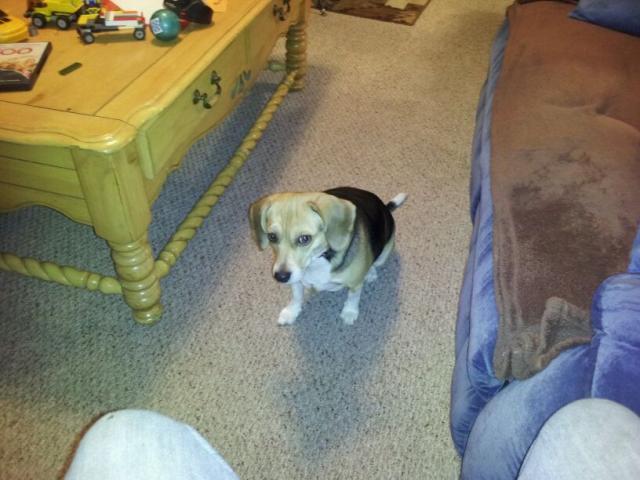 post-6649-0-55373700-1360626932_thumb.jp