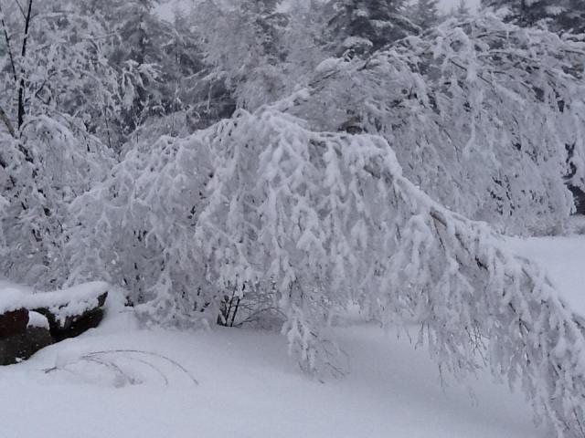 post-8342-0-02365200-1361735831_thumb.jp