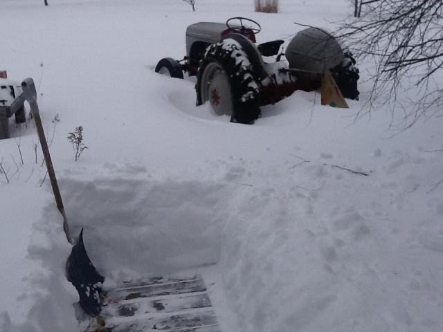 post-8342-0-60065400-1360421679_thumb.jp