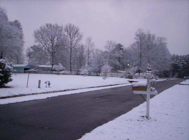 post-8388-0-70905900-1360092033_thumb.jp