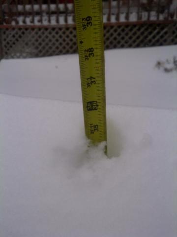 post-8427-0-24603900-1360425830_thumb.jp